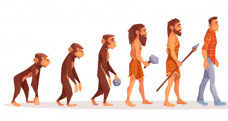 進化論でよく目にするイラスト